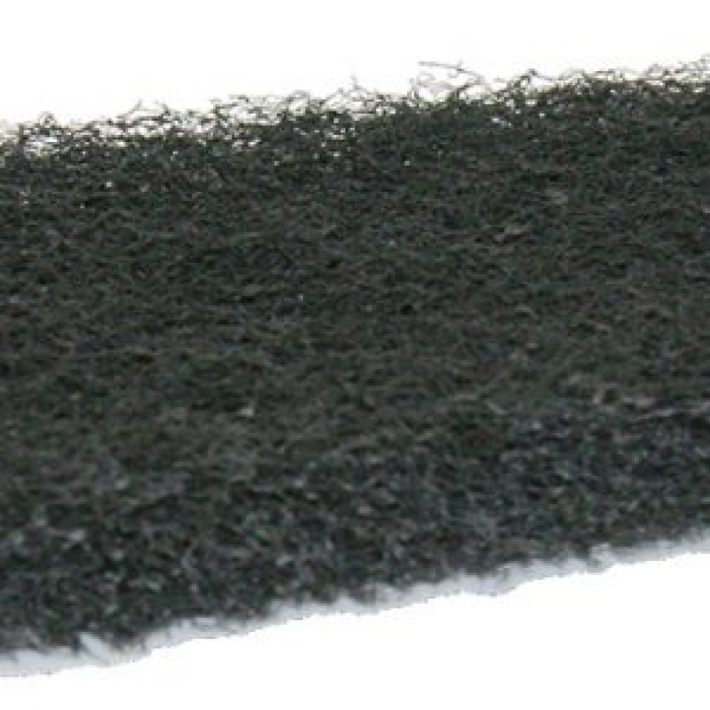Black-scourer-pad