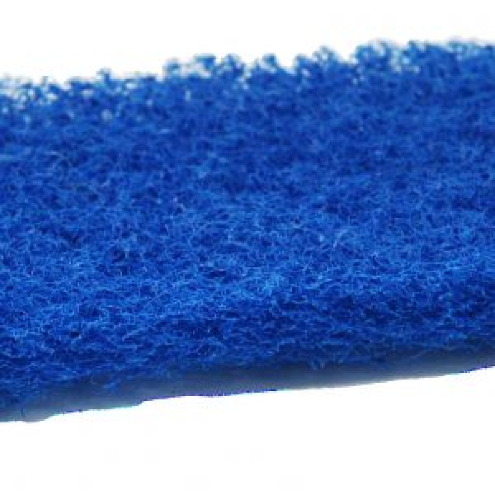 Blue-scourer-pad