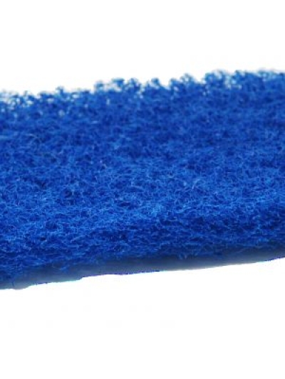 Blue-scourer-pad