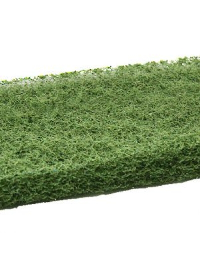 Green-scourer-pad