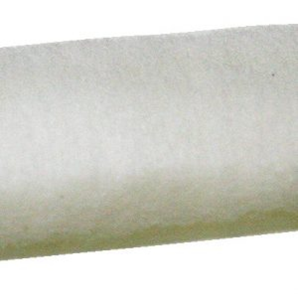 White-scourer-pad