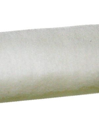 White-scourer-pad